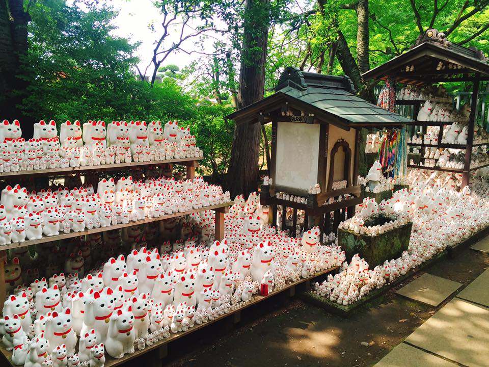 LUCKY CAT MANEKI NEKO : แมวกวัก แมวมงคลของญี่ปุ่น