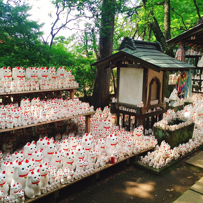 LUCKY CAT MANEKI NEKO : แมวกวัก แมวมงคลของญี่ปุ่น
