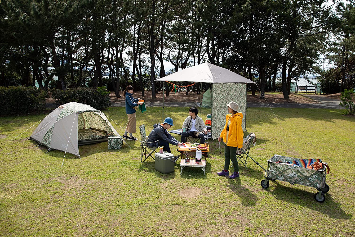 Coleman Tent Touring Dome ST สำหรับ2-3 คน (มี 2 สี) — TOKYOCOOL
